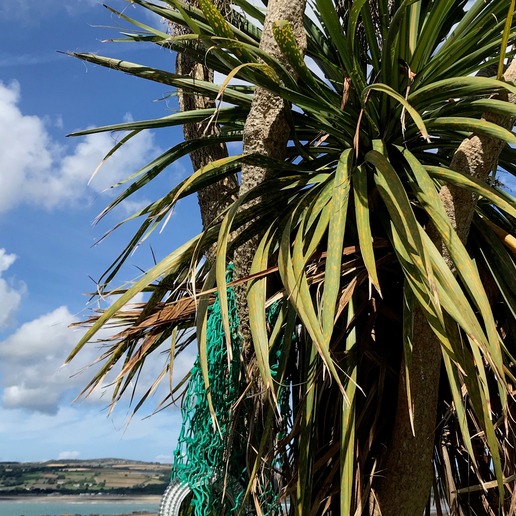 marazion cornwall