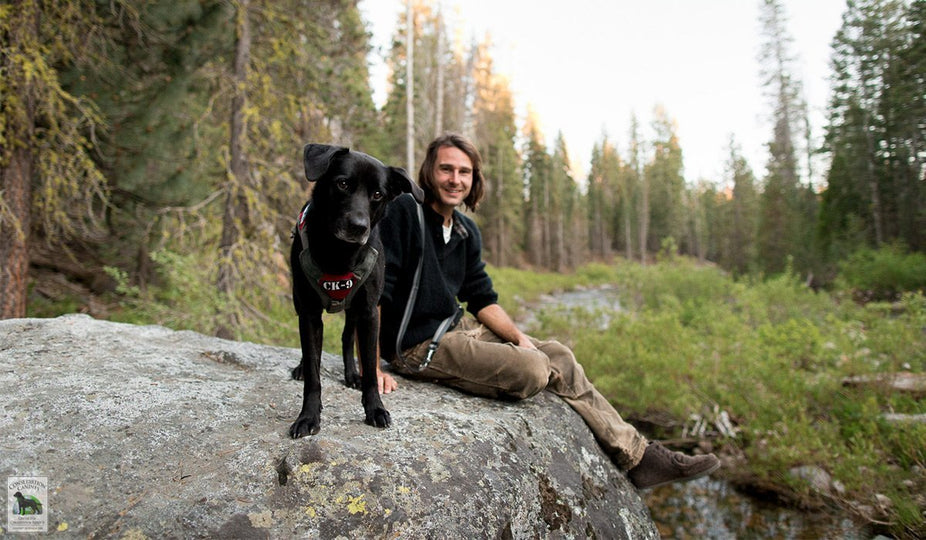 Worked Like a Dog: In the Field with Conservation Canines