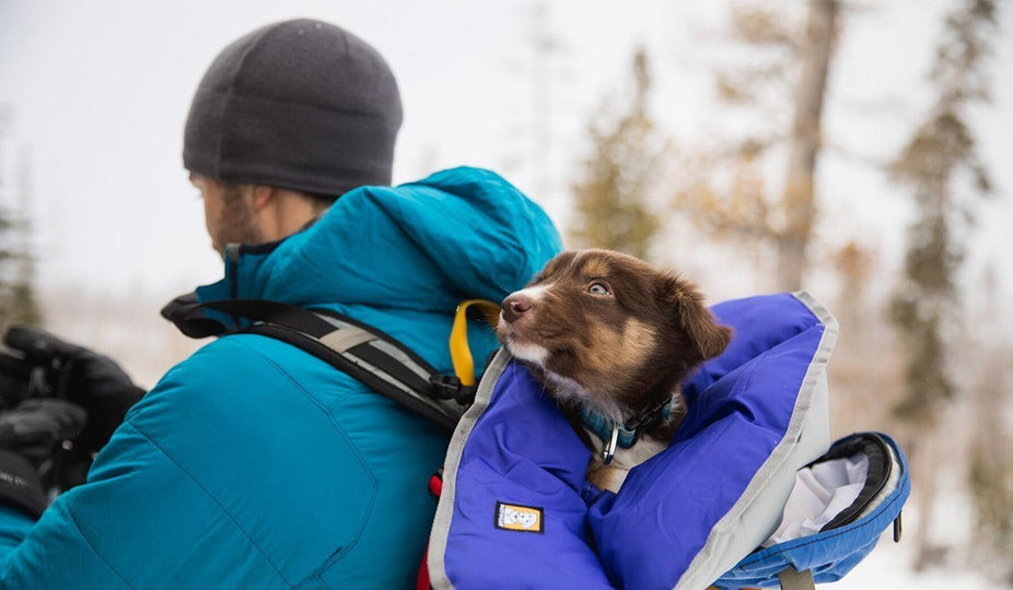 Breaking Barriers: The Crux of Winter Exploring