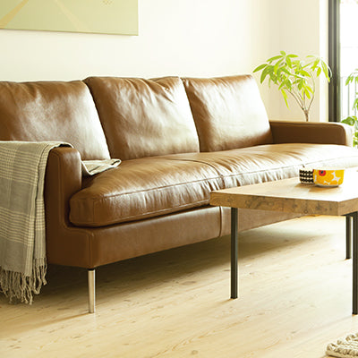 Semi-Aniline Brown Leather Sofa
