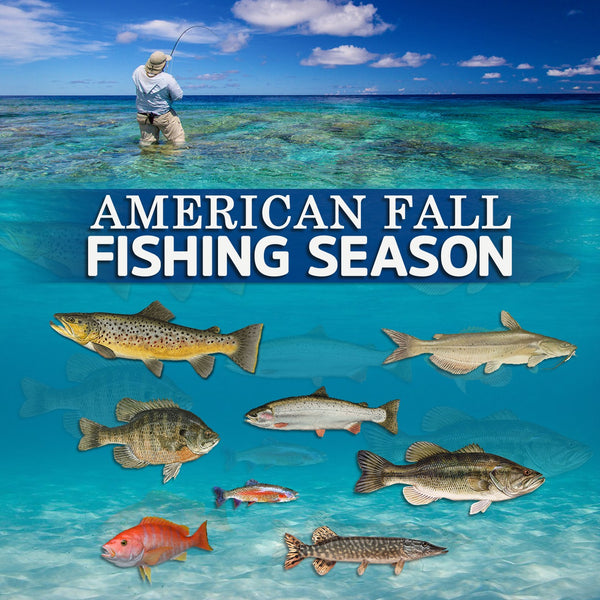 American Fall Fishing Season Fishing Nice