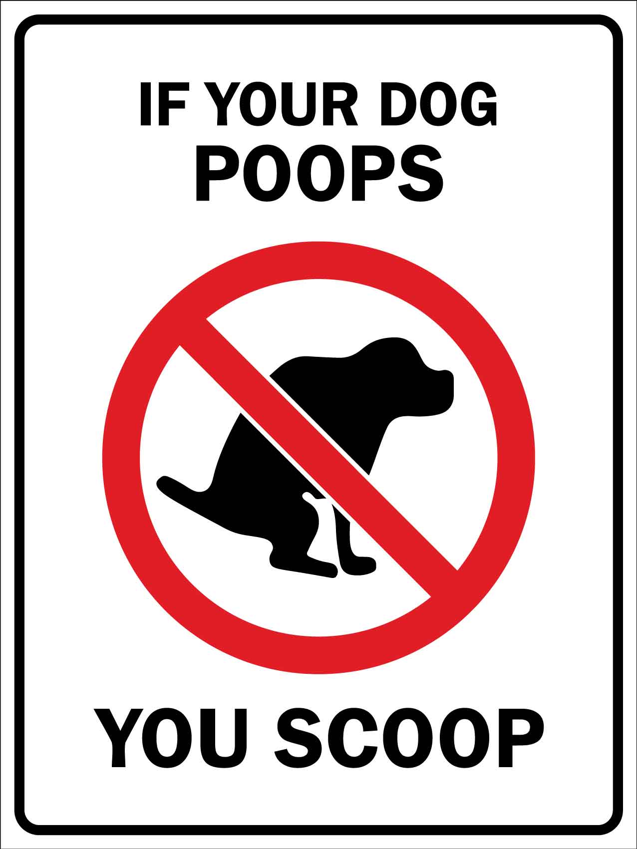 how to clean my dog poop