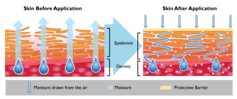 Skin Barrier Effect of Emolients
