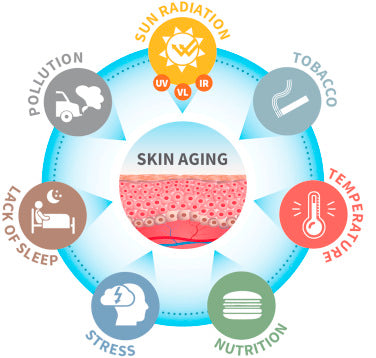 The "Skin Aging Exposome"