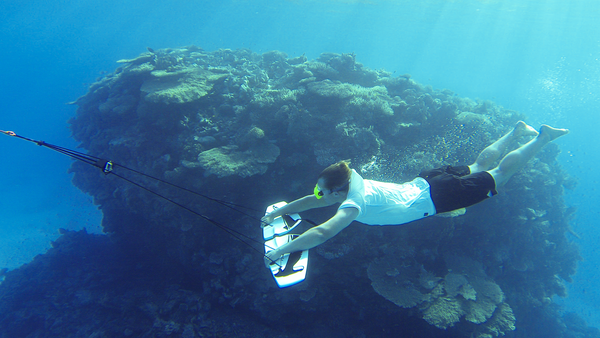 subwinging next to coral head side view