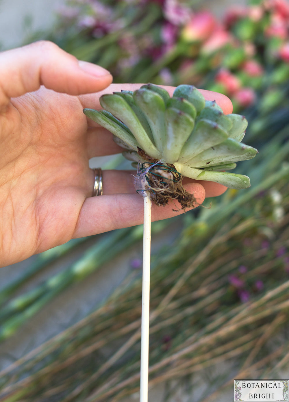 DIY - How to Add Succulents to Any Bouquet
