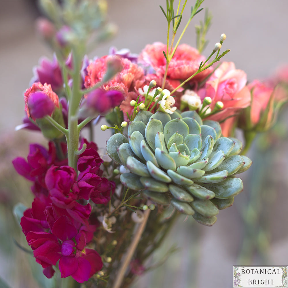 DIY - How to Add Succulents to Any Bouquet