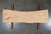 Elm Slab 031422-1