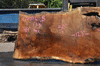 Oregon White Oak Slab 040921-05