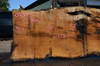 Oregon White Oak Slab 040921-06