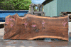 Oregon Black Walnut Slab 042621-05