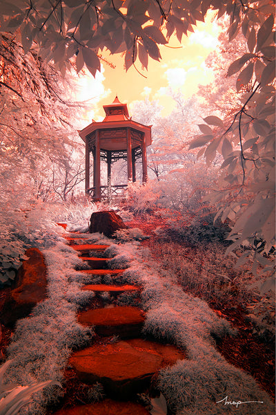 Cokin Infrared Filter Photography
