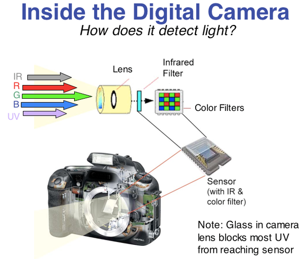 Inside a digital camera for infrared photography