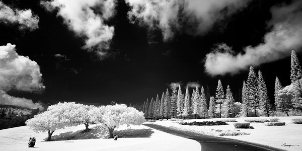 Cokin Black and White Infrared