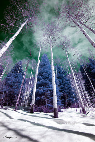 Cokin Infrared filter photography