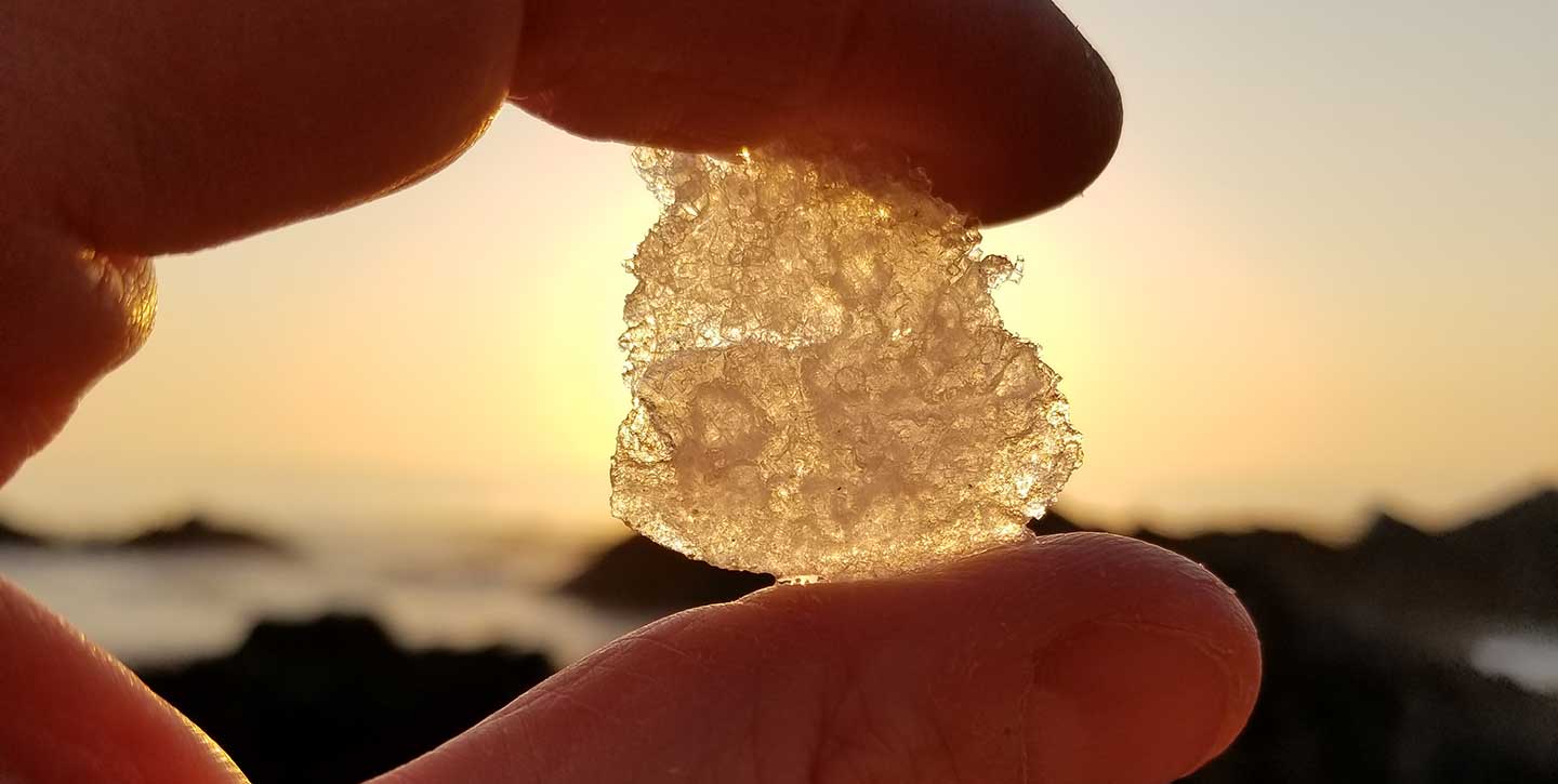 Salt crystal harvested from Big Sur Salts salt farm 