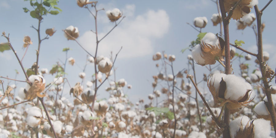 Organic Cotton Clothing | Sustainable fashion made with natural organic pima cotton