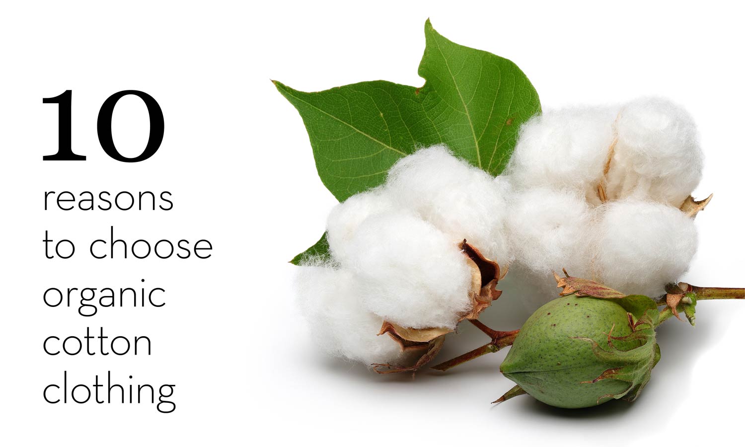 Ten Reasons to Choose Organic Cotton Clothing
