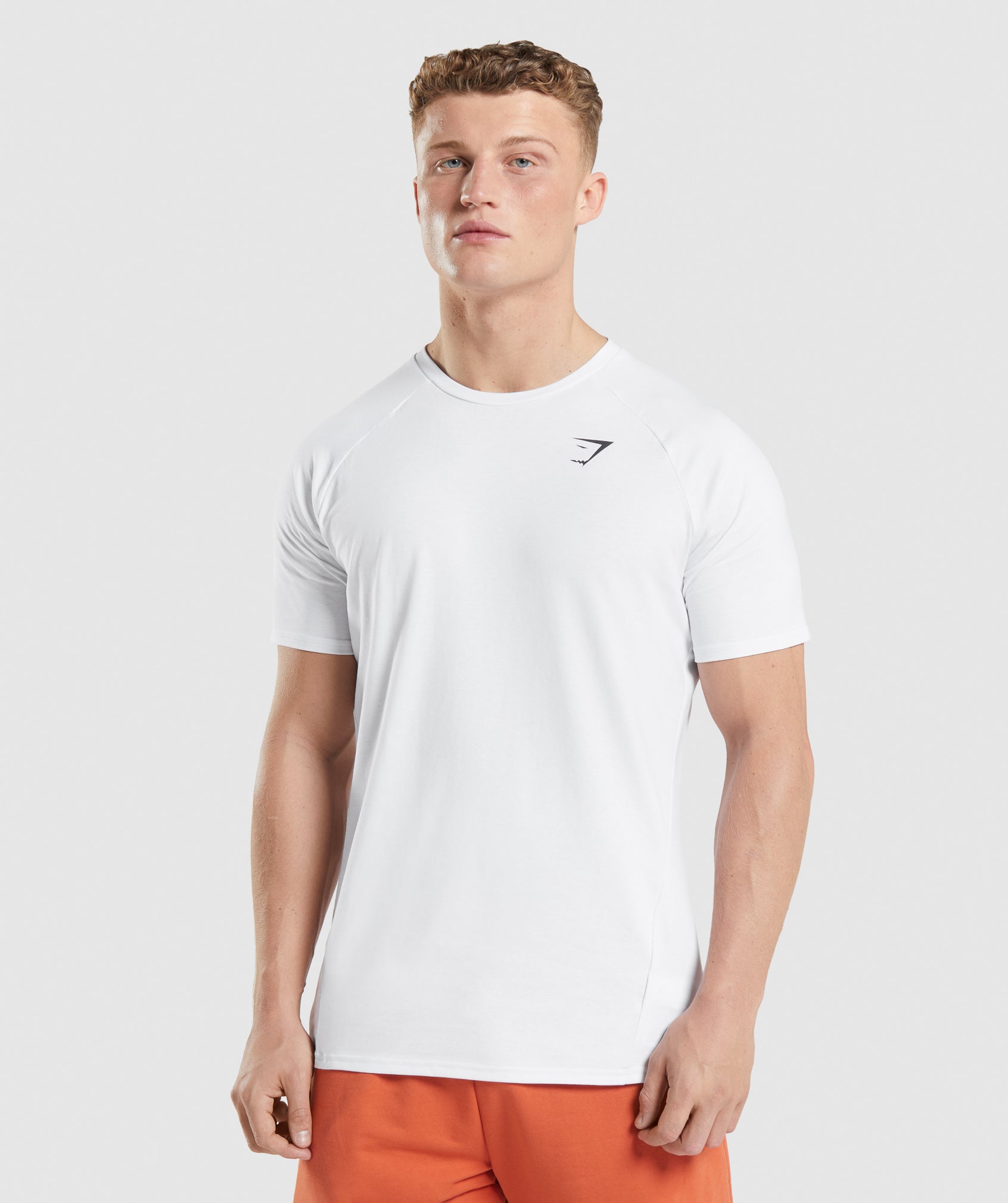 Gymshark Geo Seamless T-Shirt - White/Light Grey