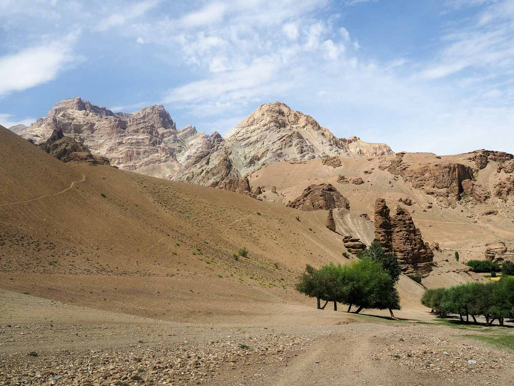 Trekking in Ladakh from Gyal to Kanji, landscape above Gyal