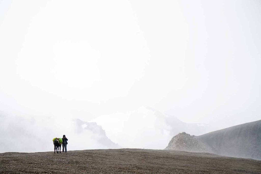 Climbing to the unnamed pass, Chomotang, Ladakh