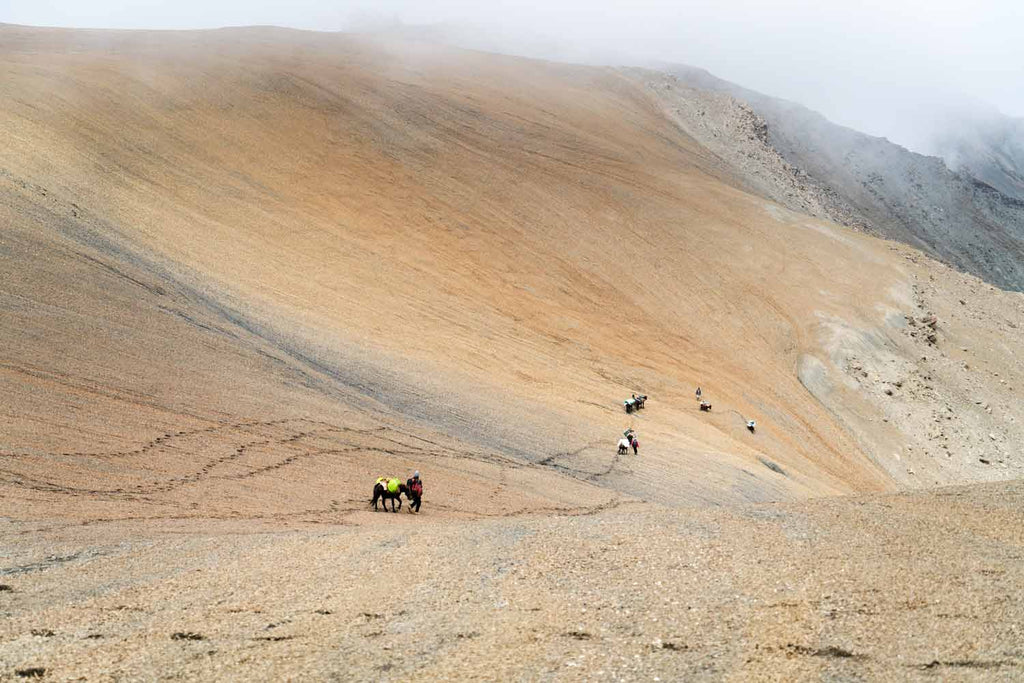 Descending on the correct route from the unnamed pass, Chomotang, Ladakh