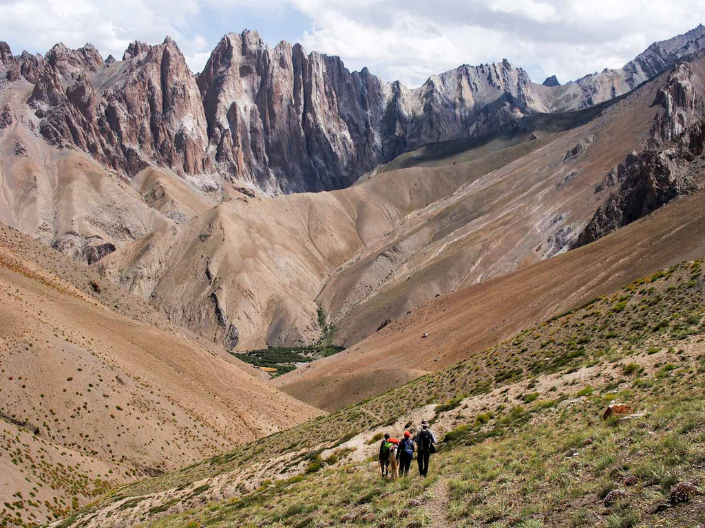 Trekking in Ladakh from Gyal to Kanji, descending the Yoma La