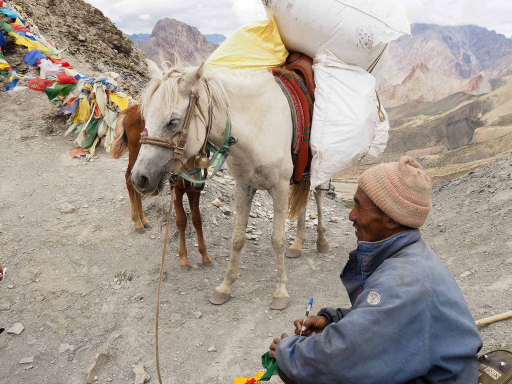 Pony man Writing a Message on the Prayer Flags, Yogma La, Ladakh