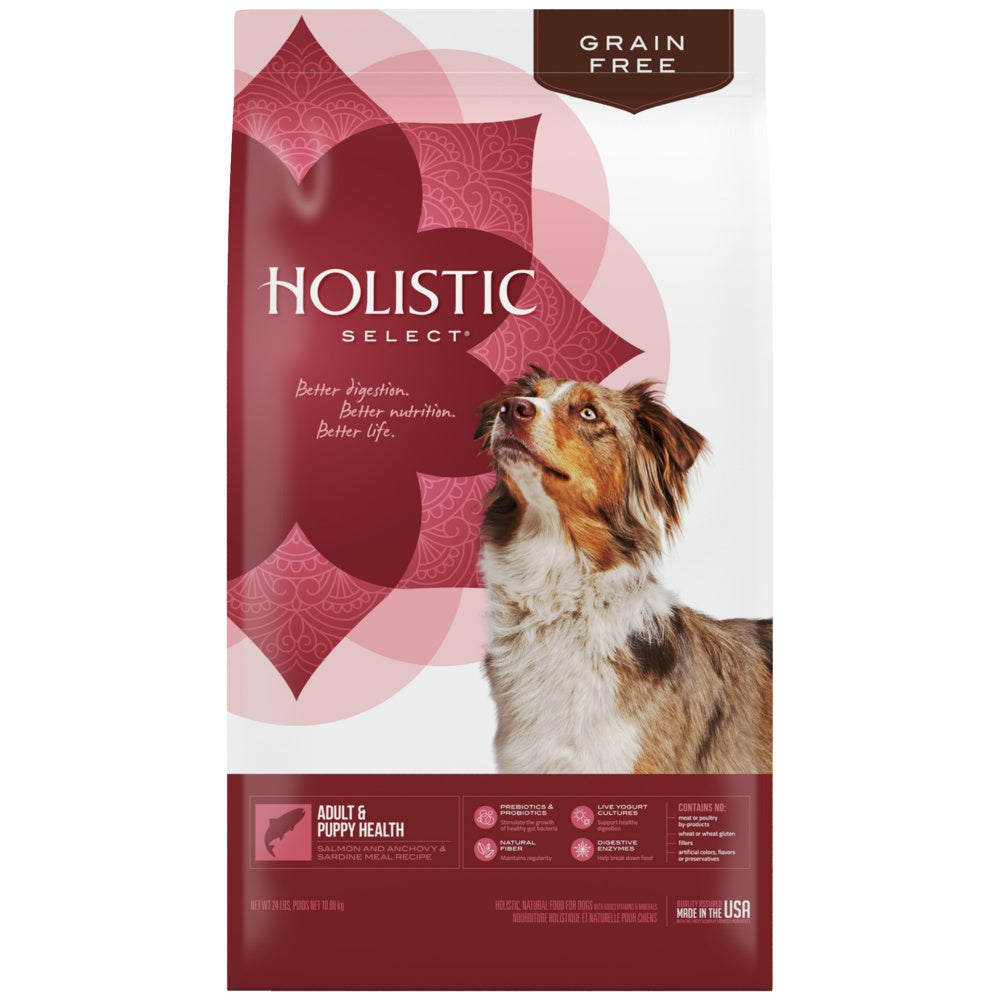 holistic select dog food