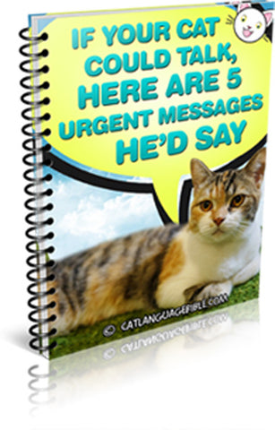 Cat report ebook cover