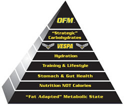 Optimized Fat Metabolism Pyramid