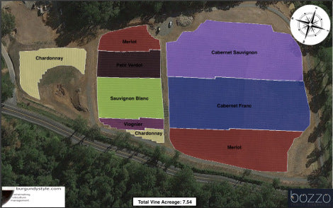 graphic map of vineyard blocks