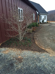 photo of winery landscaping