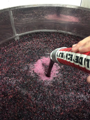 photo of red winemaking