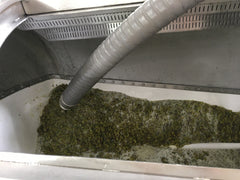 photo of grapes in wine press