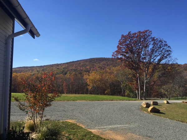 Photo of mountain view from Bozzo Family Vineyards