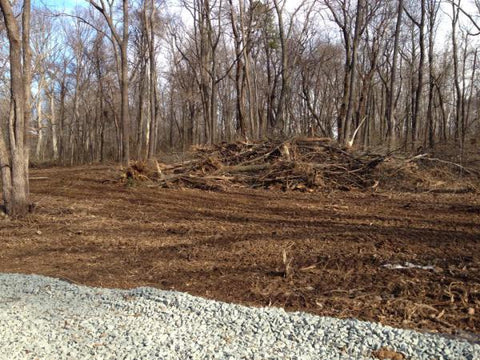 photo of land clearing