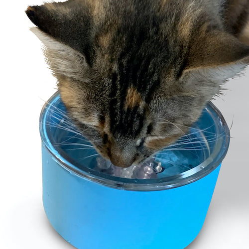 cat drinking gem water (crystal water)