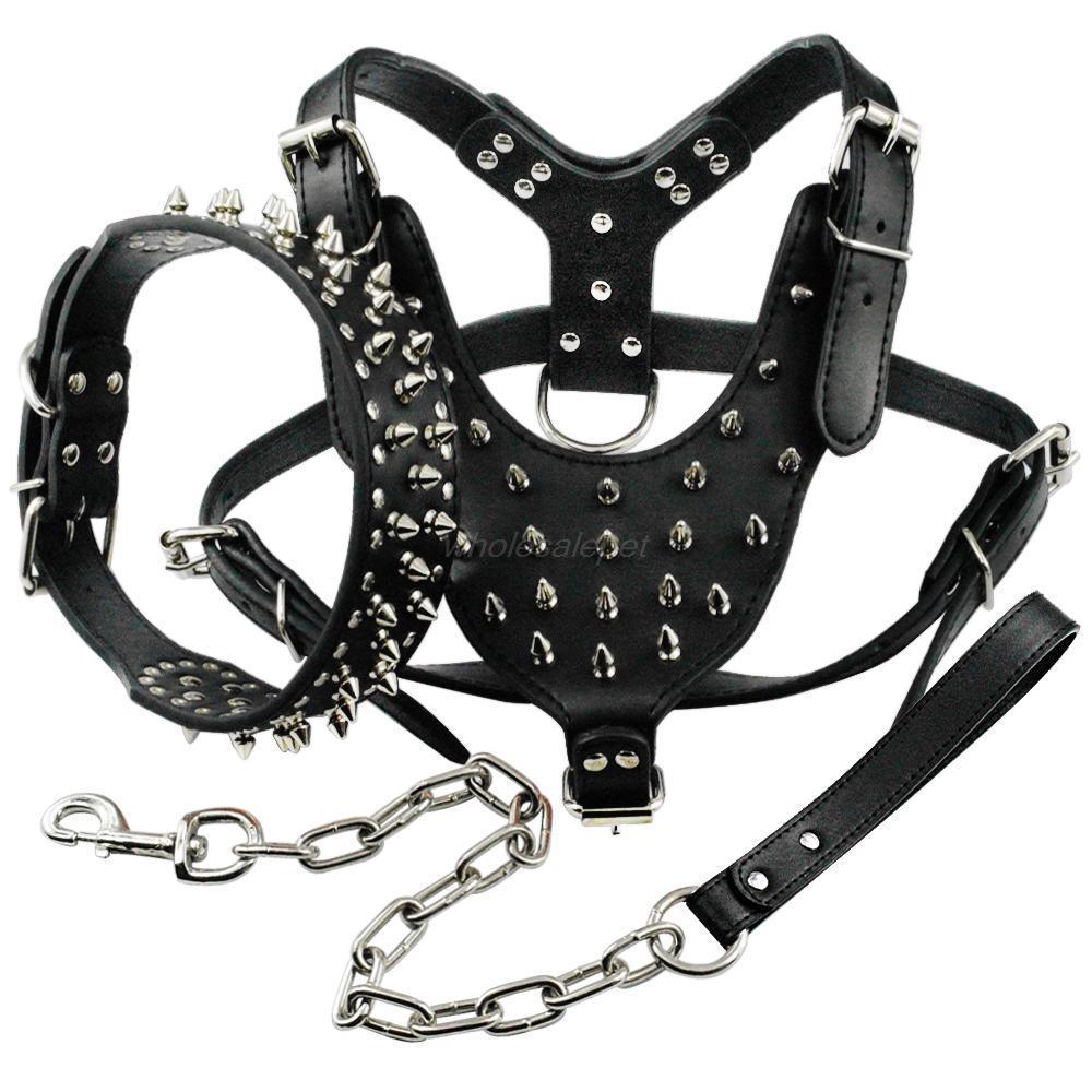 collar harness and leash set