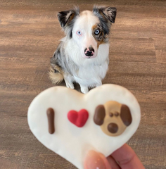 Dog sitting patiently to receive heart cookie with I Love Dogs icing