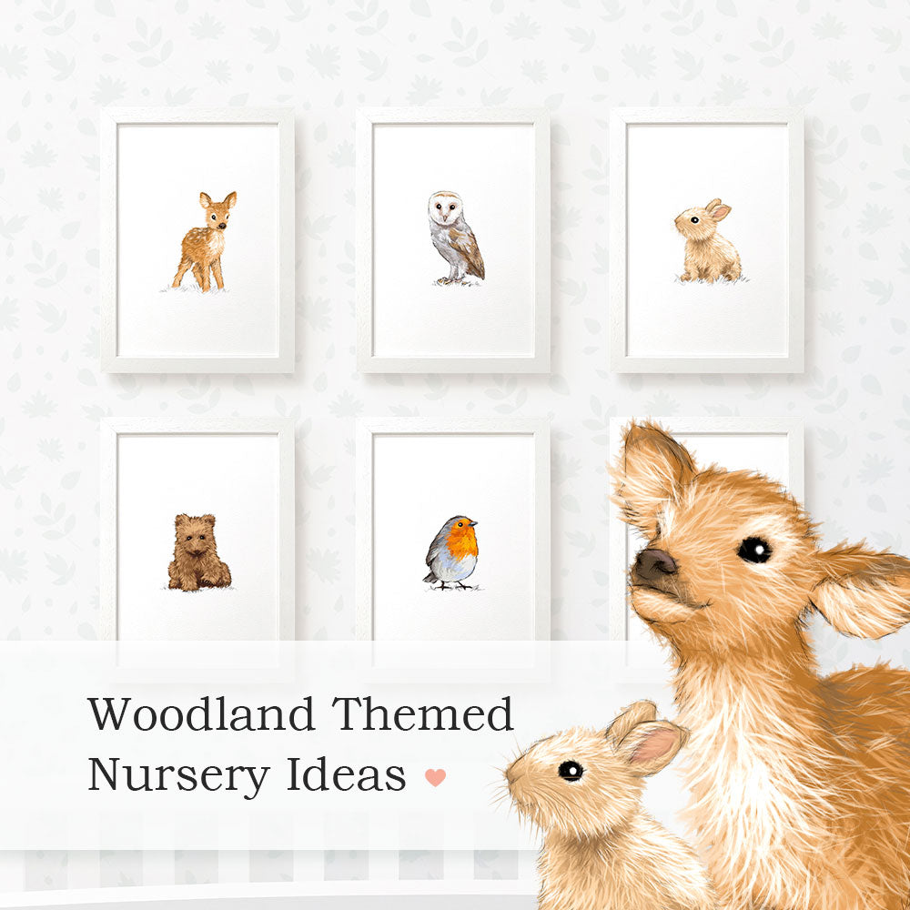 Woodland Animal Pictures For Nursery Collage Wall Art - Gender Neutral –  Pawprint Illustration