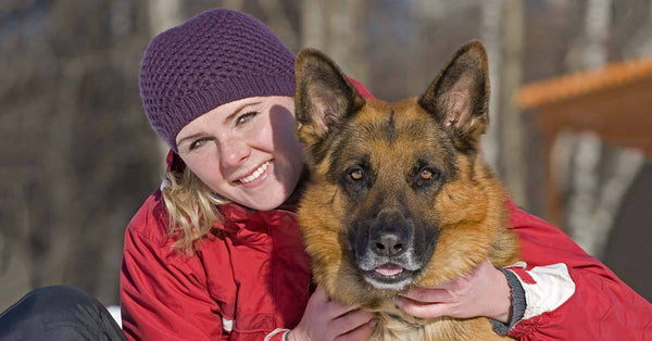 do german shepherds attach to one person