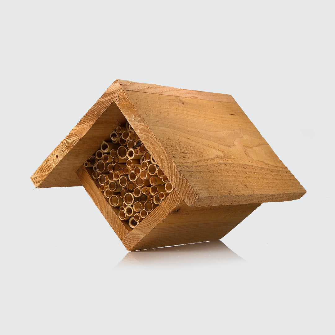 Honeybees house