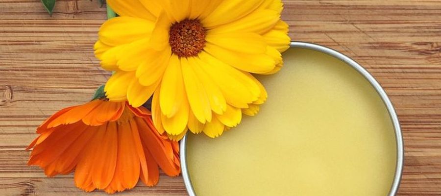 best calendula creams