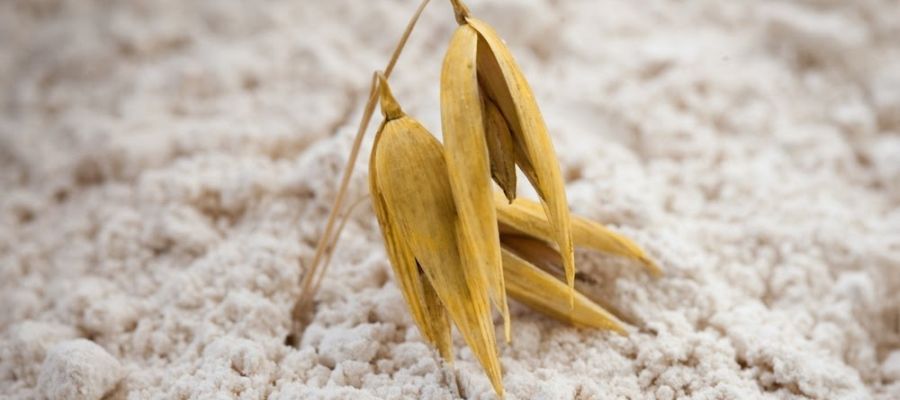 making colloidal oatmeal