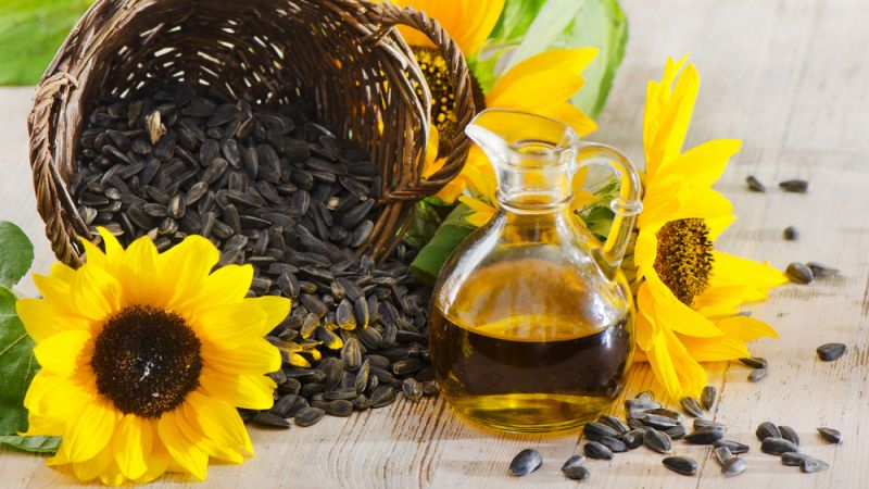 sunflower oil for skin