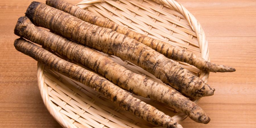 burdock roots