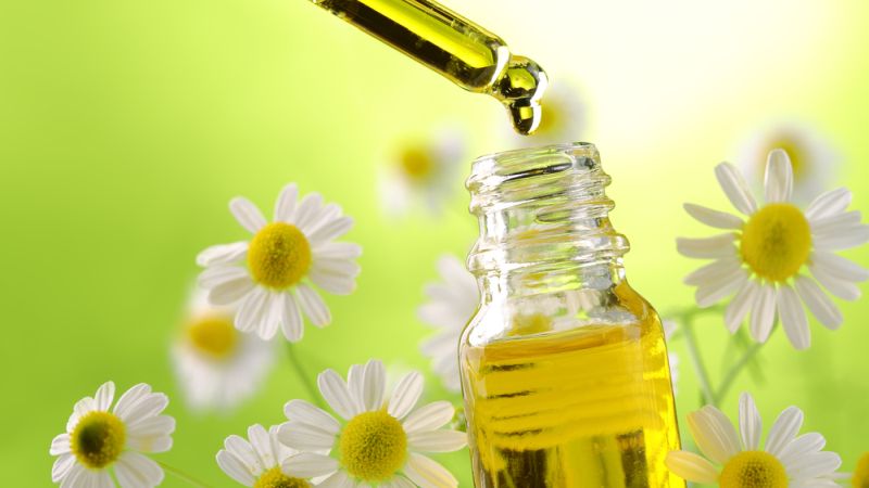 Chamomile Extracts