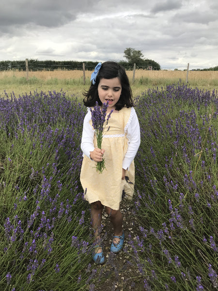lavender-field-north-london