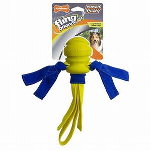 dog fetch toy